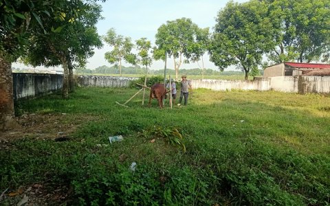 BÀI TUYÊN TRUYỀN TIÊM PHÒNG CHO GIA SÚC, GIA CẦM