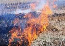 BÀI TUYÊN TRUYỀN V/v Lộ trình chấm dứt tình trạng đốt rơm rạ, phụ phẩm nông nghiệp  sau mỗi vụ thu hoạch.
