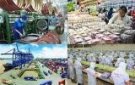 QUYẾT ĐỊNH  Về việc thành lập đoàn kiểm tra liên ngành an toàn thực phẩm nhân dịp tết  nguyên đán Giáp Thìn và mùa lễ hội đầu xuân 2024
